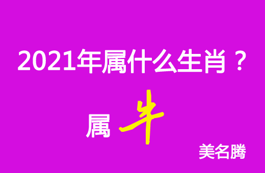 2021年屬什么生肖？2021年屬牛